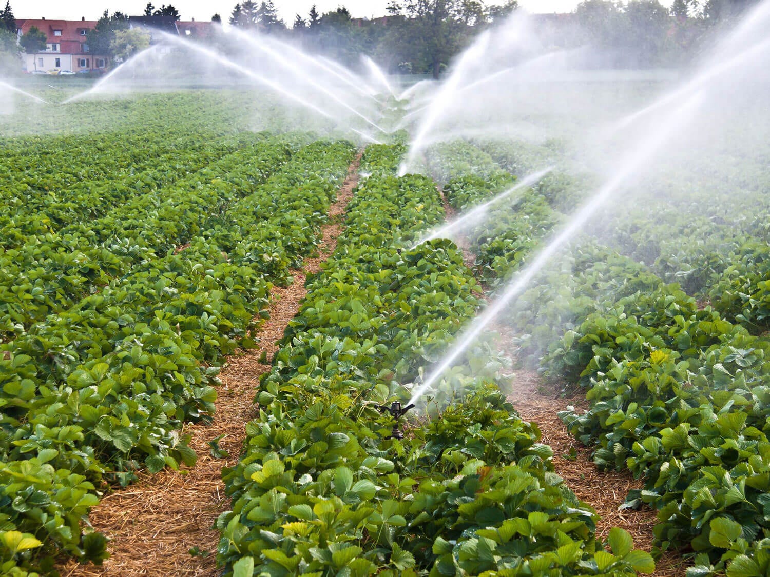 Industrial filters for wastewater treatment, especially for irrigation by MANN+HUMMEL BIO‑CEL MBR – Konacik WWTP